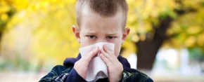 Proč stoupá výskyt alergií? Vědci tápou
