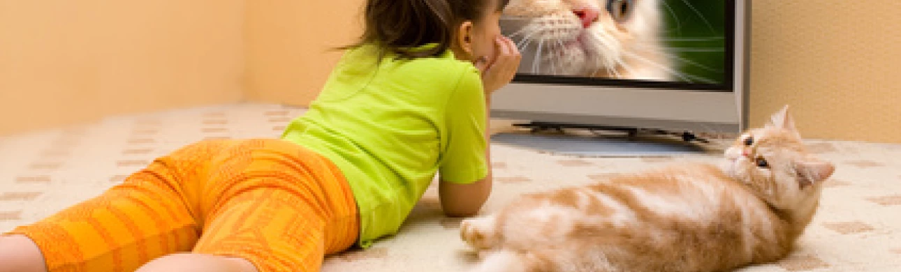 Astma se může rozvinout i vlivem sledování televize   