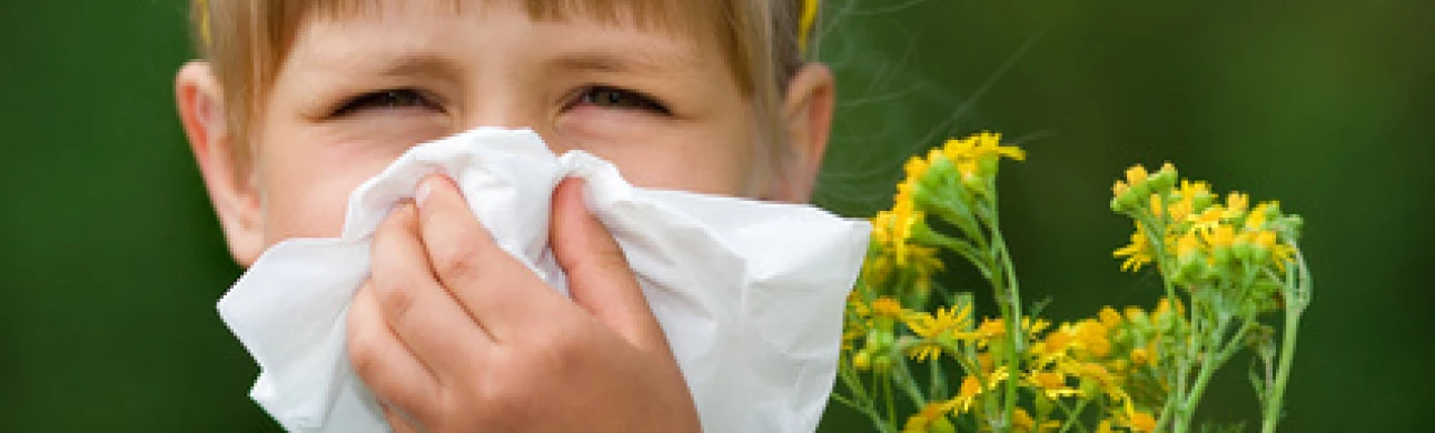 Sezónní i celoroční alergická rýma způsobuje poruchy čichu