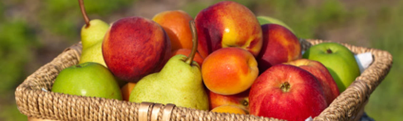  Broskve a jablka: typická alergie na jihu Evropy