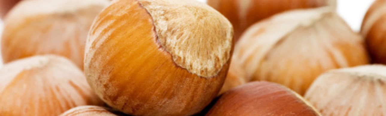 Přecitlivělost na protein Cor a 11 z lískových ořechů se vyskytuje převážně u dětí