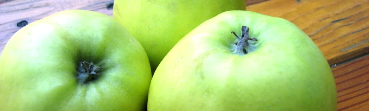 Specifická imunoterapie může pomoci i při alergii na jablka